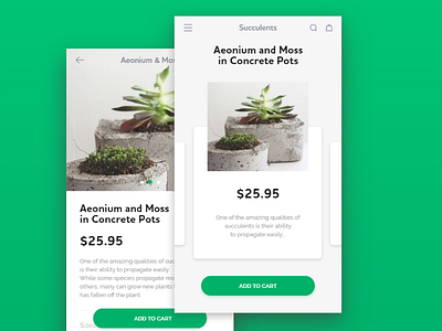 Decor shop app decor flowers shop succulents ui