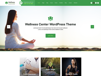 Buy Wellness WordPress Theme For Wellness Related Services