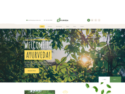 Buy Herbal WordPress Theme For Herbal Stores And Spices Shop