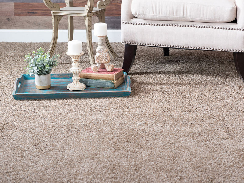 Best Quality Carpet Supplier In Dubai by Carpet Dubai on Dribbble