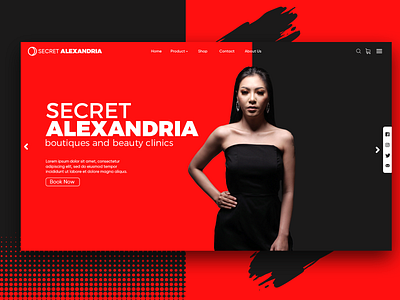 Secret Alexandria adobe illustrator branding design landingpage minimal ui web website
