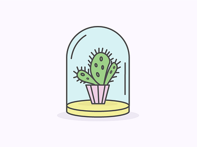 Cactus in a Terrarium cactus succulent terrarium