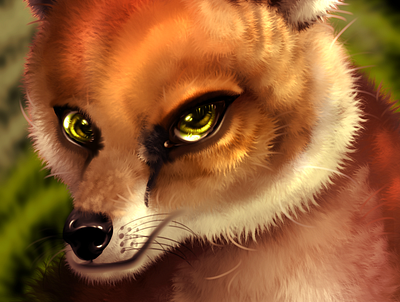 Fox Stare animal animal art fox original art rocioam7