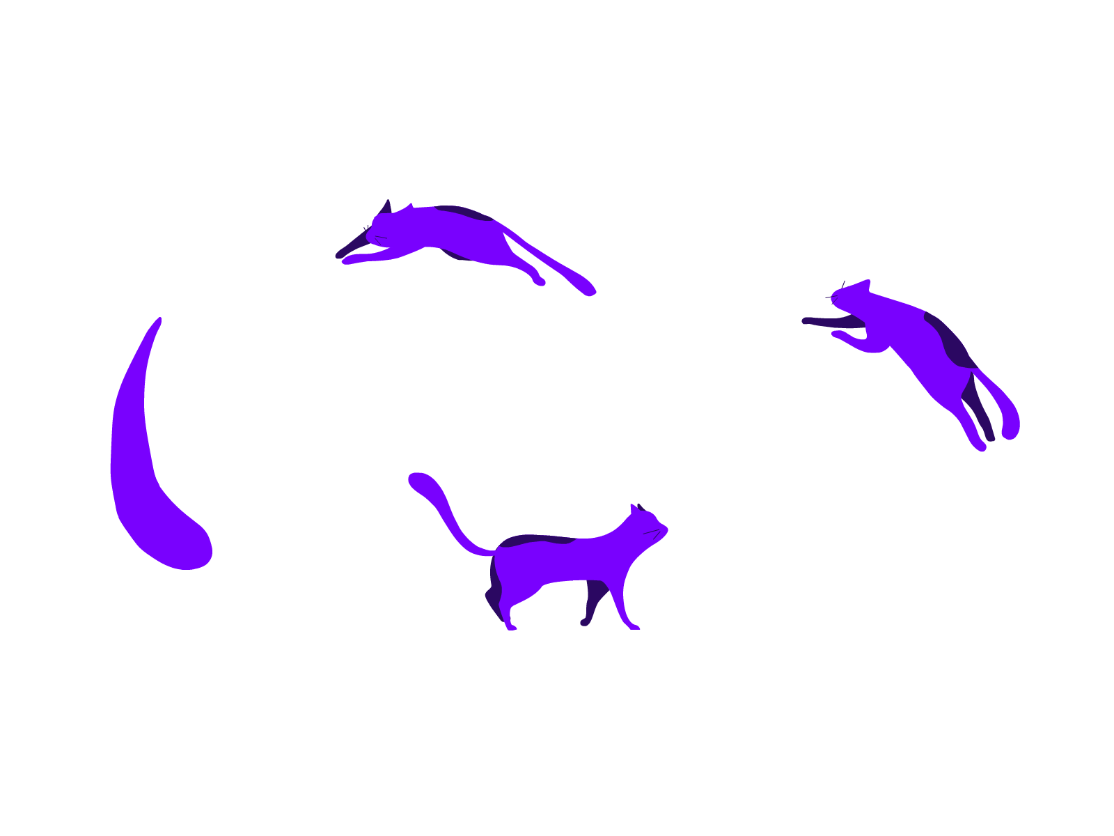 Cat(s) 2d 2danimation adobe animate animated gif animation animation 2d cat cats framebyframe jumping cat logo motion graphics