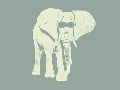 Elephant animal elephant illustrator jungle safari vector