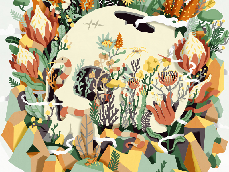 Skull & Fynbos by Studio Gummi on Dribbble