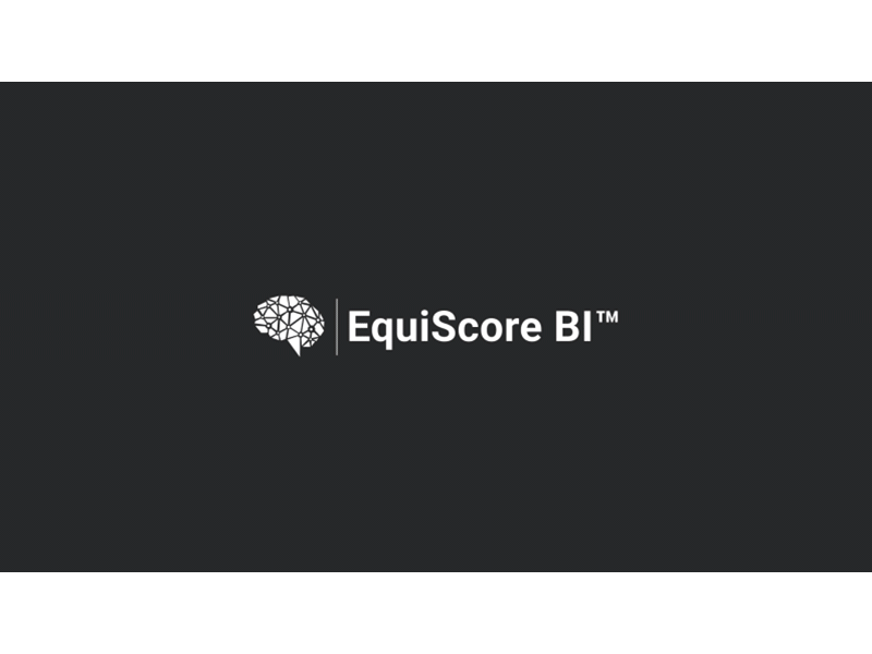 EquiScore BI - Platform For Measuring Equity In The Work Place branding design graphic design logo ui web