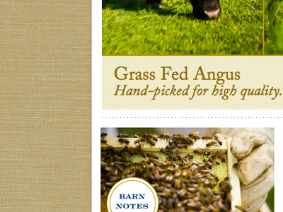 Farmy Goodness beehive farm website