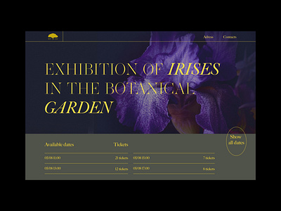Exhibition website concept