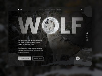 Wolf landing design donate landing landing page ui uidesign ux uxdesign uxui web design website wolf wolf landing