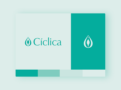 Cíclica Branding branding graphic design