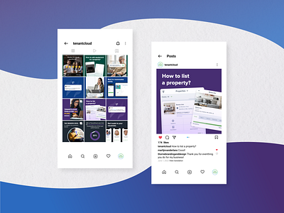 TenantCloud Instagram Posts Design