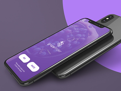 Finding Grapes app grapes ios minimal mobile purple responsive simple ui wine