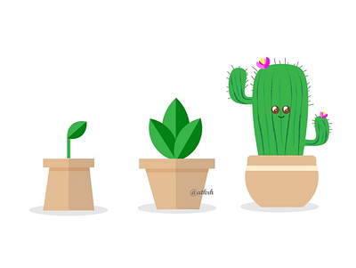 cactus illustration cactus cactus illustration illustration illustration art