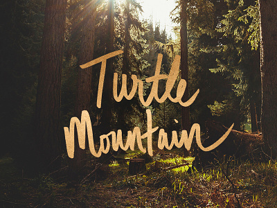 Turtle Mountain gold hand lettering logo