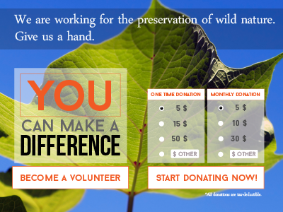 Donation Page Concept donate donation landing page nature ui user interface web web ui website