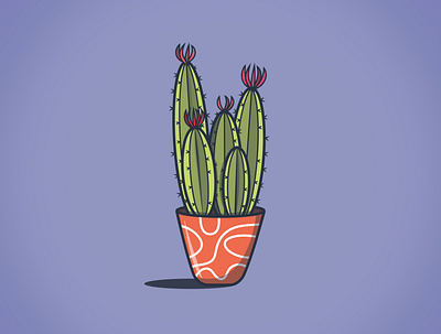 Cacti art design flat graphic design illustration minimal vector