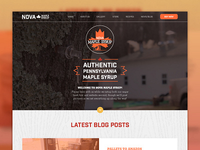 Nova Maple Syrup Home Page blog desktop food home page product web design