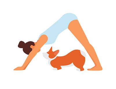 Corgi yoga home adobe illustrator graphic illustration illustration art illustrator