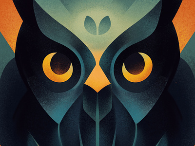 Owl bird illustration owl poster