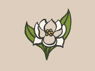 MeLindaLee Southern Magnolia hand crafted illustrator magnolia mason jar melinda lee procreate south carolina