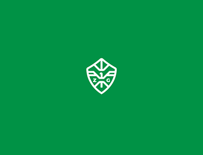 ZeldaGuide Logo (Unused Mark) branding branding and identity freelance designer logo visual identity zelda