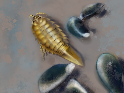 sea creature digital painting