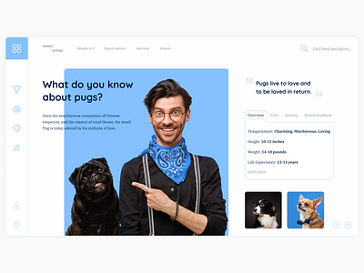 Pug | First screen advertising colorful design designer dog first screen pets shop typography ui ux web webdesign zoo
