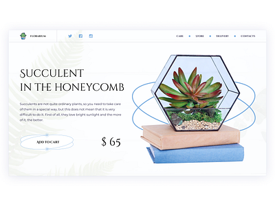 Florarium | First screen branding colorful design designer florarium gift illustration landing nature shop typography ui ux web лендинг