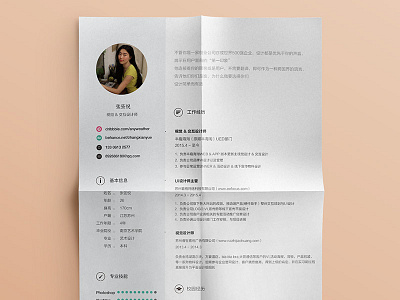 Resume Design profile resume