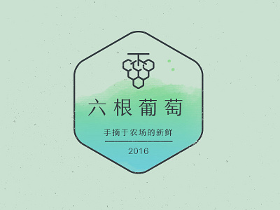 六根葡萄包装图案 grape grapes logo pattern