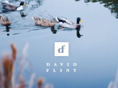 David Flint Branding branding d f identity initials logo monogram