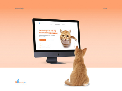 Promo page of the veterinary clinic cat clinic design orange page pet pets promo veterinary web webdesign website design