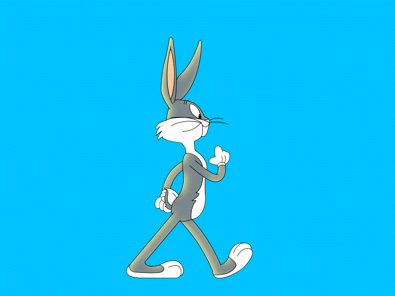 Bugs Bunny - Walk Cycle aftereffects animation animation 2d animation after effects bugs bunny illustration illustrator looney looney tunes motion design motiongraphics walkcycle