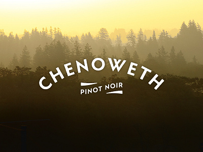 Chenoweth 2014 Fall Launch ecommerce pinot noir sunrise trees website wine