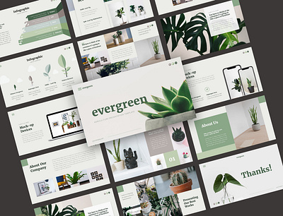 Evergreen Presentation Template Design branding design presentation presentation design presentation layout presentation template template design ui