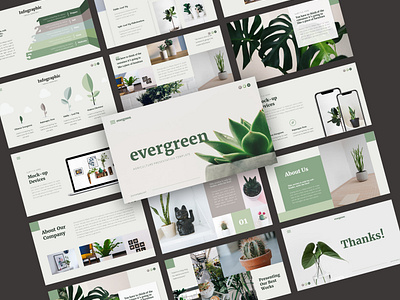 Evergreen Presentation Template Design
