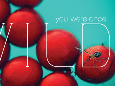 You were once wild. blue photography red spider typography