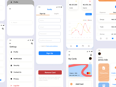 BUDDY budget finance fintech productdesign ui