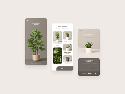 Plant store UX/UI App app ecommerce green plant ux