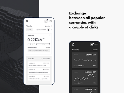 Cypto Wallet bitcoin crypto dashboard design ui wallet