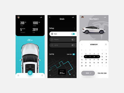 Car Rental App app car rental tesla