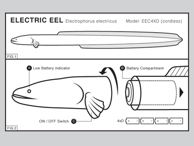 Batteries not Included eel electric glennz illustrator instructions vector