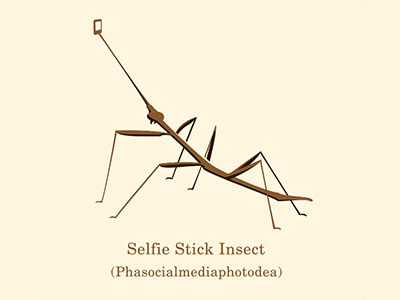 Selfie Stick Insect glenn jones glennz illustration illustrator selfie selfie stick stick insect tshirt vector