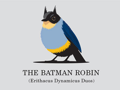 The Batman Robin batman bird glenn glenn jones illustration illustrator robin tshirt vector