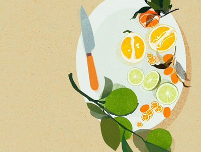 AGRUMES agrume citrus digital art digital illustration food food illustration illustration illustration art illustration digital illustrator lemon photoshop stilllife