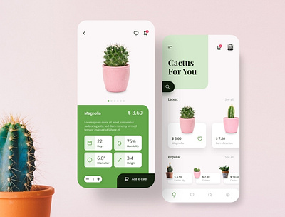 Cactus shop app app application cactus design mobile nature plant shop ui ux