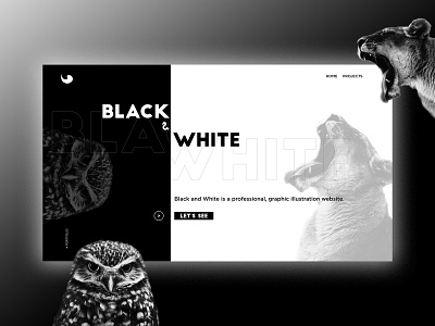Portfolio Template Black & White animal black white black and white blackandwhite branding design graphic design portfolio typography ui ux web web design website
