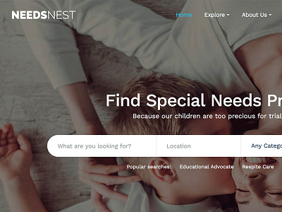 Needs Nest ui ux web design