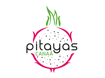 Pitayas Canaã branding design designs identidade visual logotype pitayas logo pitayas logo